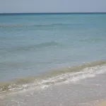 Hotel Gigli Salento 3*