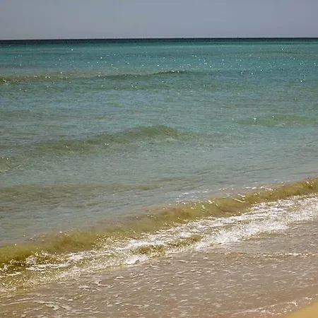 Gigli Salento